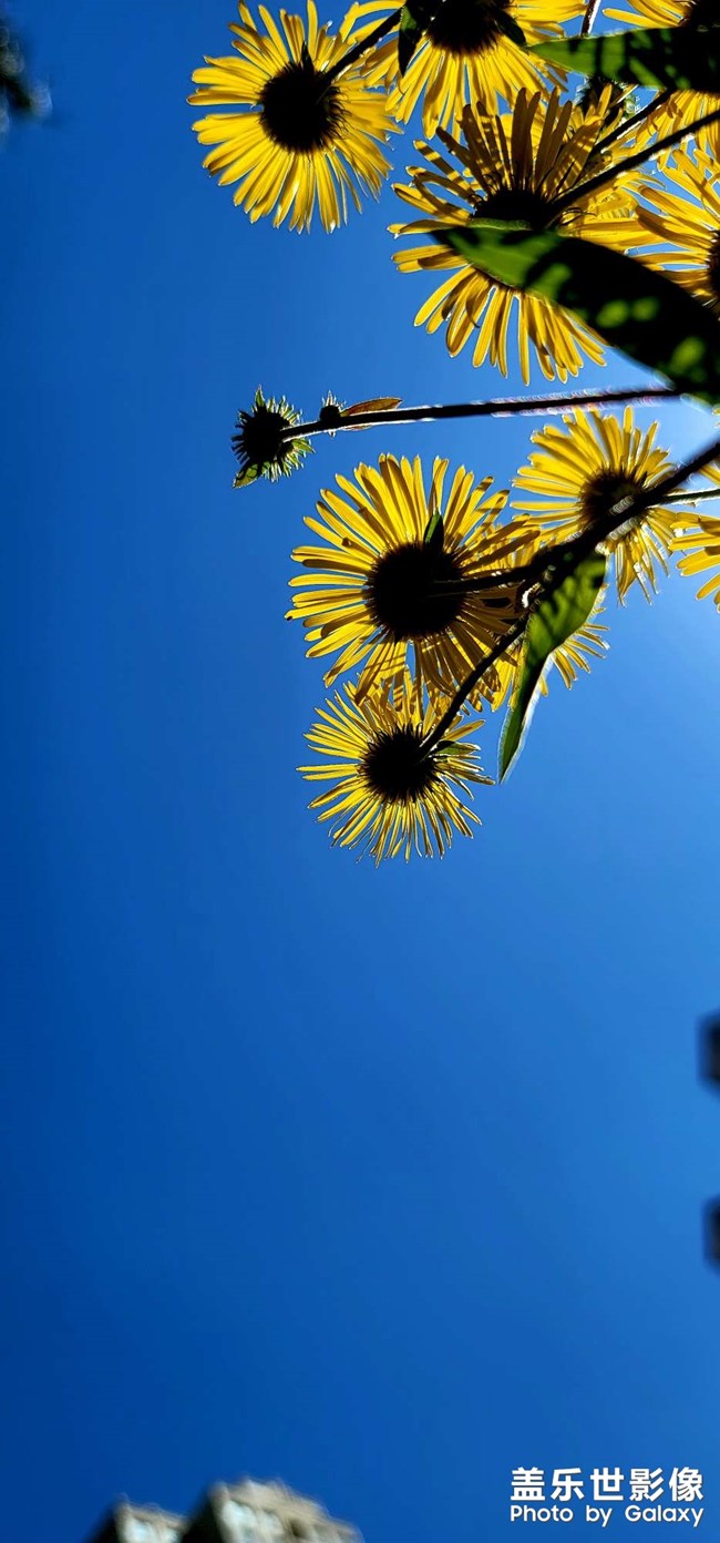 《每周星鮮事》 第118期: