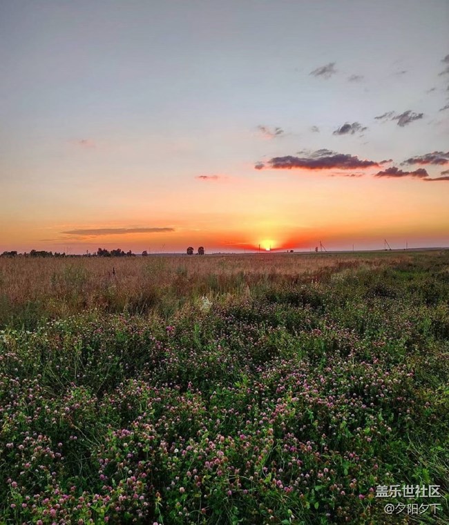 【人間煙火氣】夕陽
