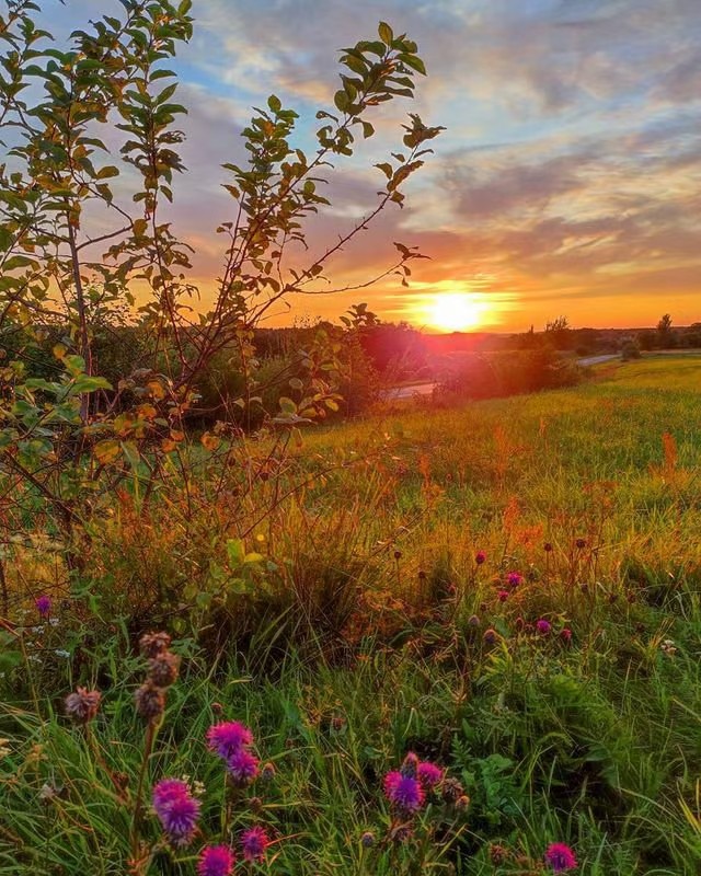 【人間煙火氣】夕陽