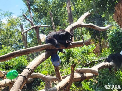 動物園