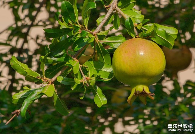 《每周星鮮事》 第118期: