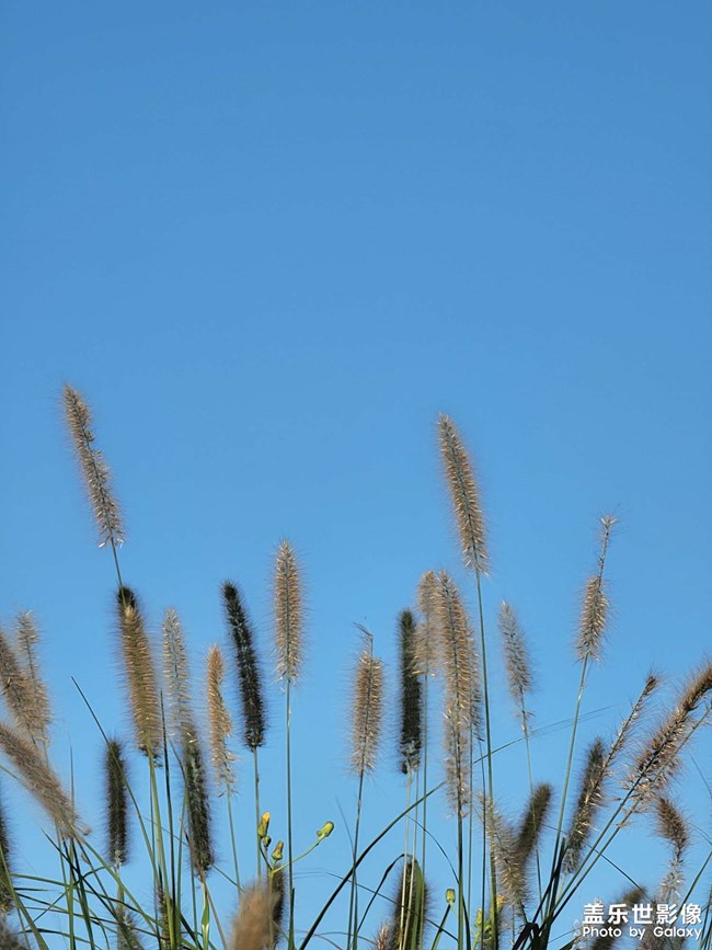 《每周星鮮事》 第118期: