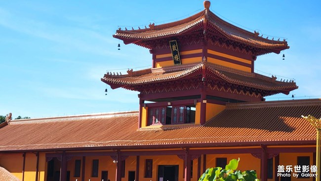 《每周星鮮事》 第118期: