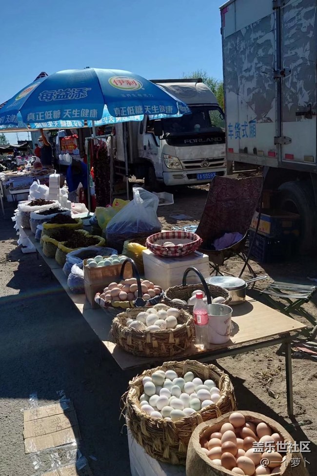 【人間煙火氣】趕大集