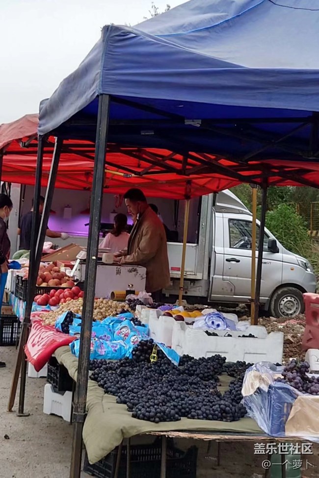 【人間煙火氣】趕大集