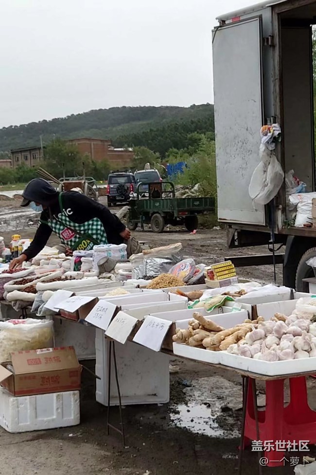 【人間煙火氣】趕大集