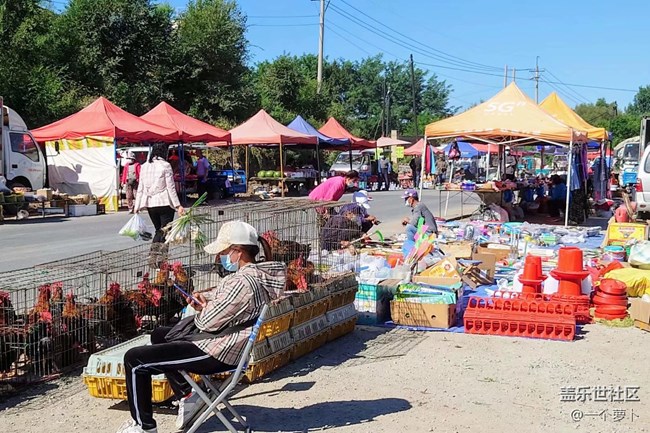 【人間煙火氣】趕大集
