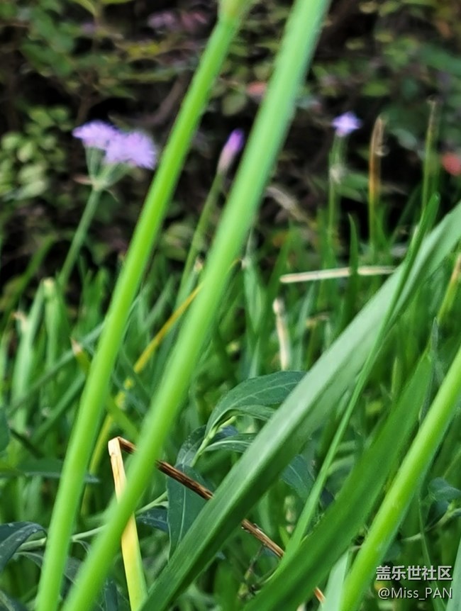 #秋已至——天已涼