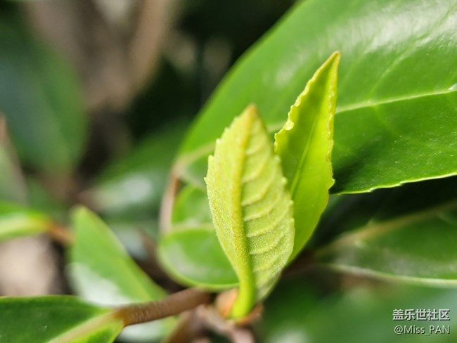 #秋已至——天已涼