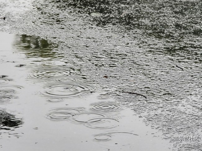 #秋已至——秋雨