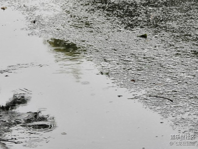 #秋已至——秋雨