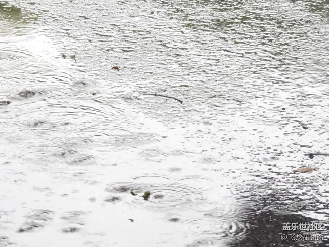 #秋已至——秋雨