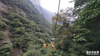 太平森林公園一日游