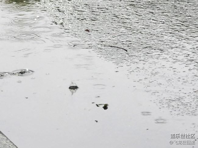 #秋已至——秋雨