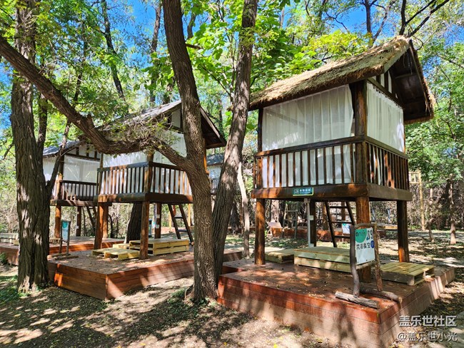 沈陽(yáng)星部落世博園品鑒Fold4折疊屏回顧