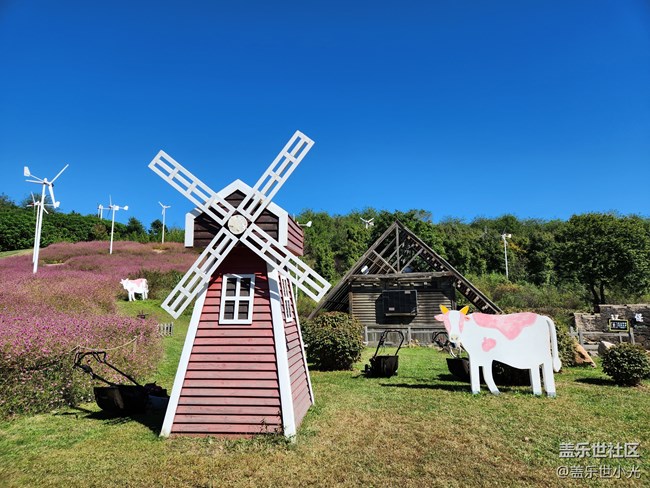 沈陽(yáng)星部落世博園品鑒Fold4折疊屏回顧