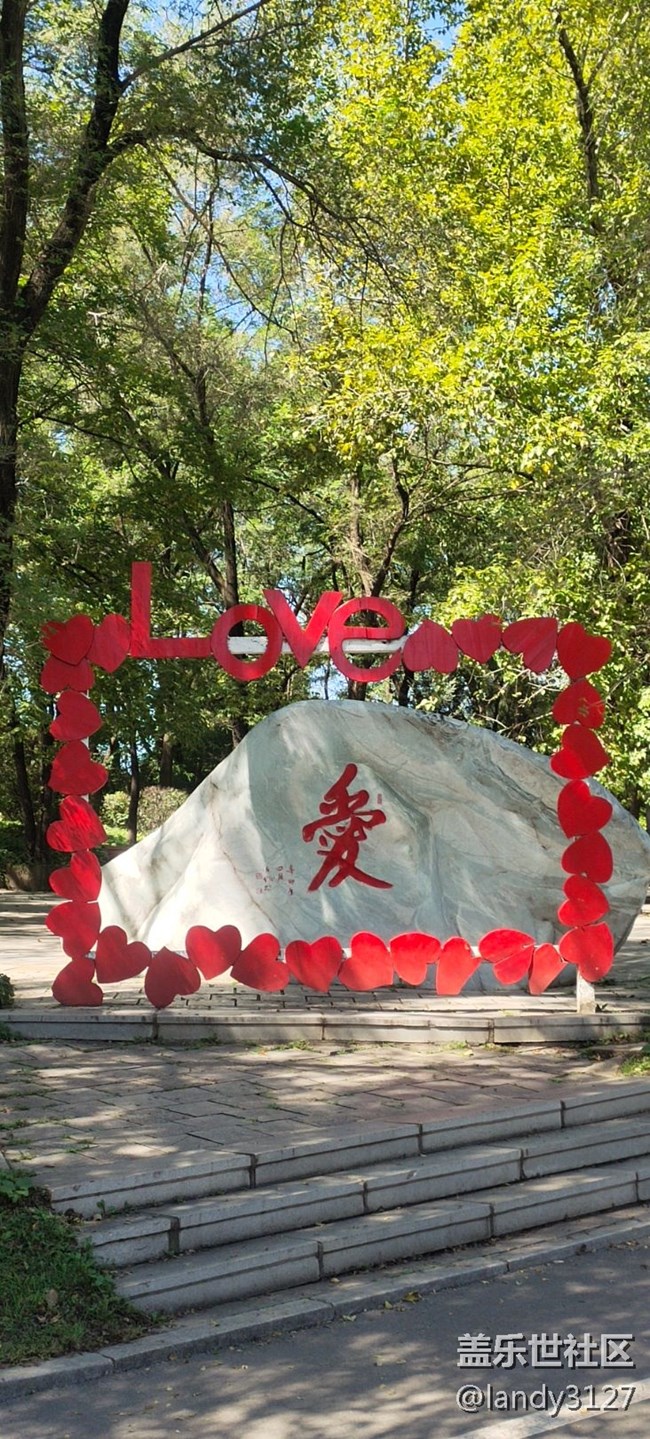 我在世博園品折疊+休閑的一天