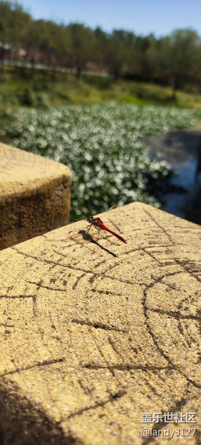 我在世博園品折疊+休閑的一天