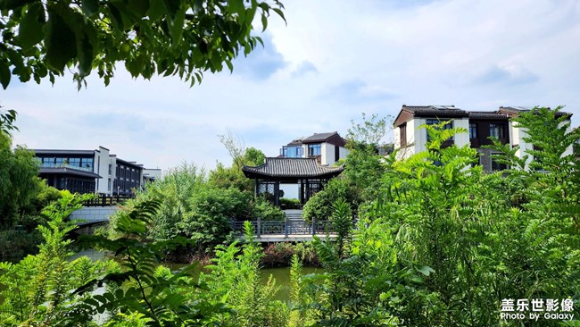 《每周星鮮事》 第119期: