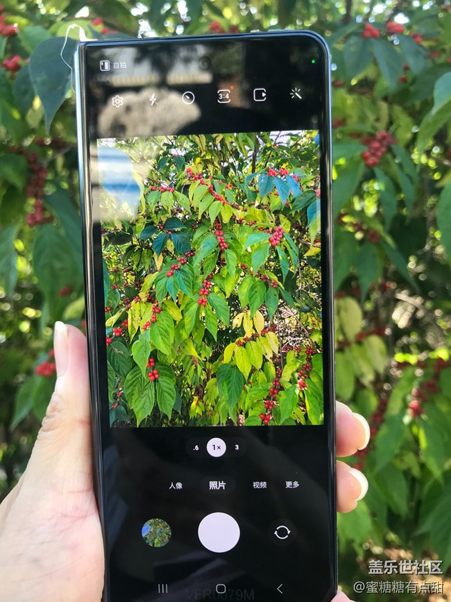 【沈陽星部落】世博園Z Fold4&Flip4品鑒游玩會