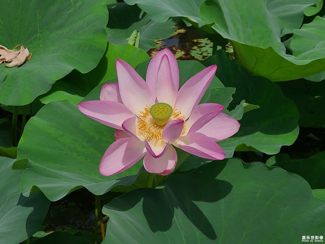 《每周星鮮事》 第119期: