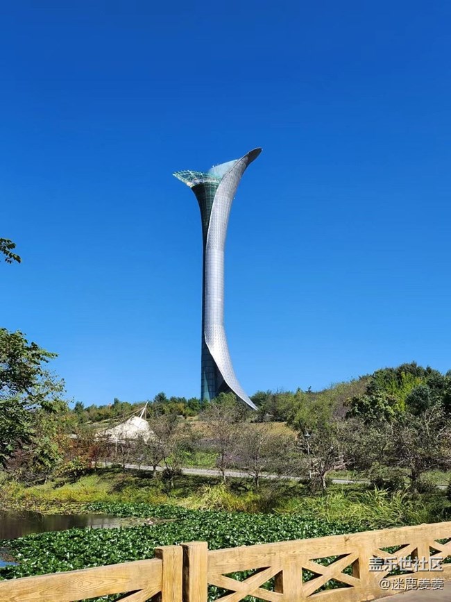 【我在世博園品折疊】折疊Flip4的快樂(lè)