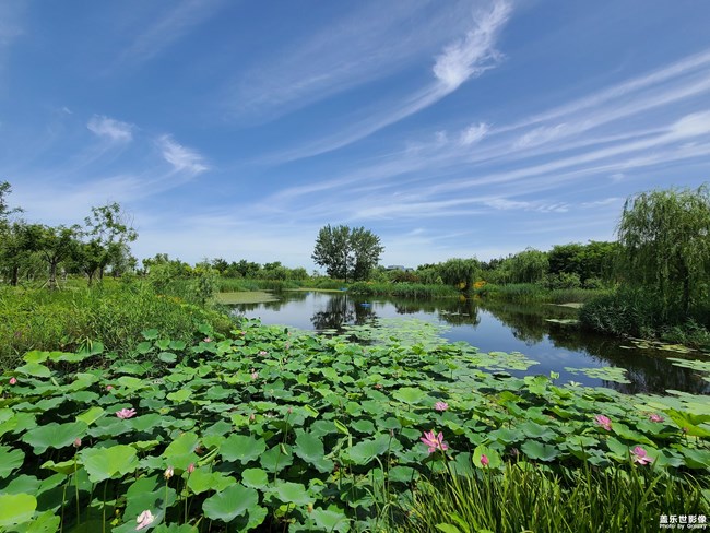 《每周星鮮事》 第119期: