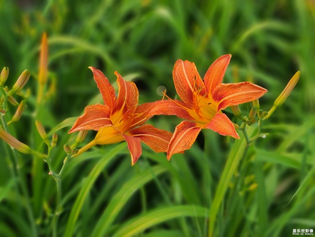 《每周星鮮事》 第119期: