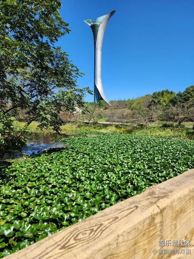 【沈陽星部落】世博園Z Fold4&Flip4品鑒游玩會