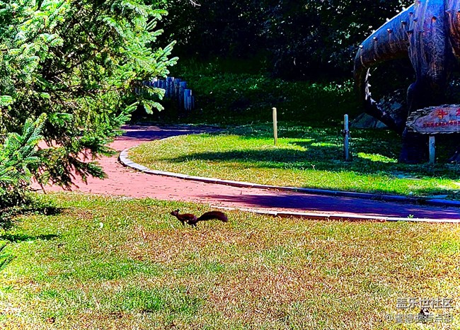 【沈陽星部落】世博園Z Fold4&Flip4品鑒游玩會