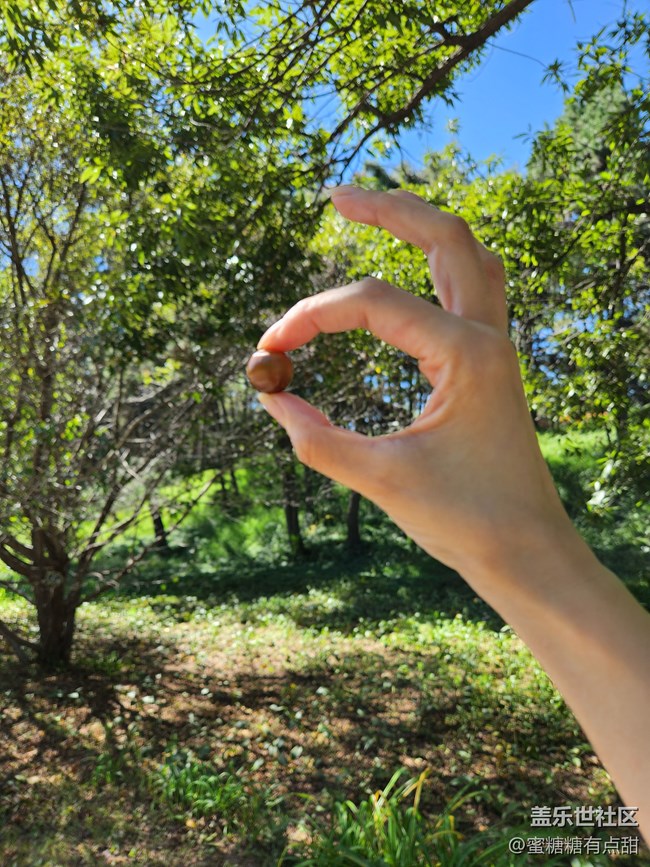 【沈陽星部落】世博園Z Fold4&Flip4品鑒游玩會