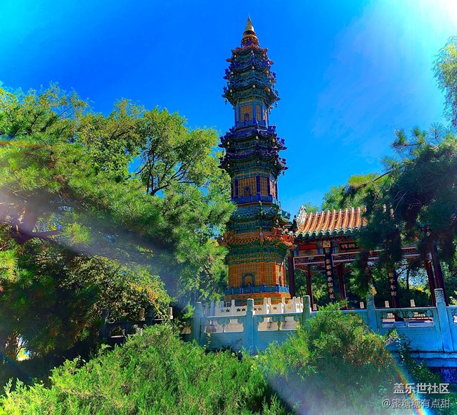 【沈陽星部落】世博園Z Fold4&Flip4品鑒游玩會