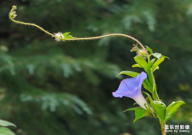 《每周星鮮事》 第119期: