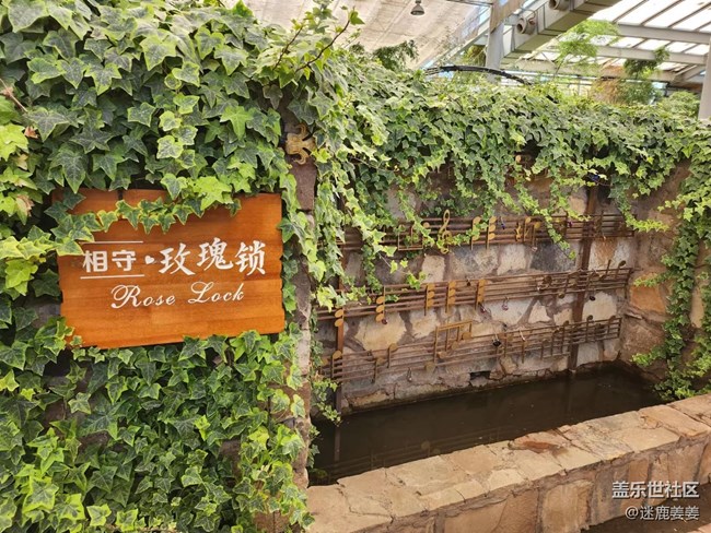 【回顧貼】秋高氣爽游世博，新機(jī)試用爽歪歪