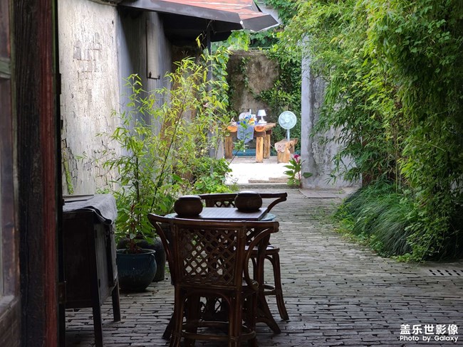 《每周星鮮事》 第119期: