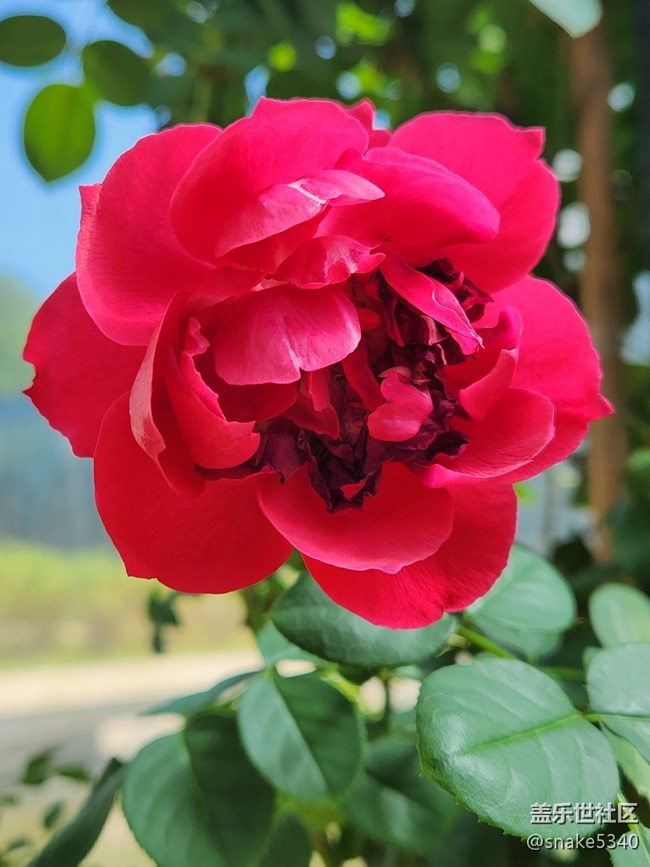 我們來(lái)啦! 沈陽(yáng)世博園