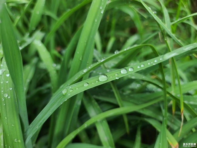 《每周星鮮事》 第119期: