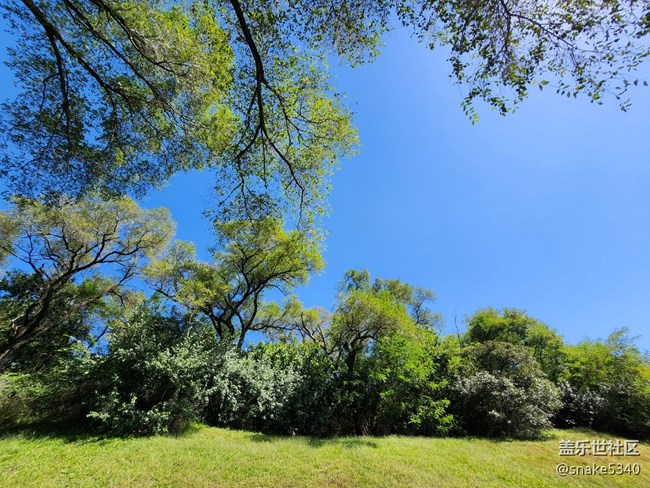 我們來(lái)啦! 沈陽(yáng)世博園