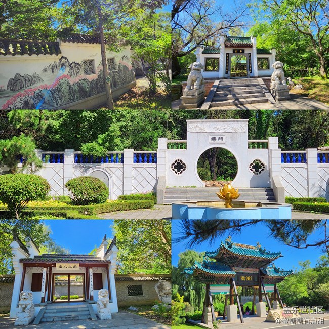 【沈陽星部落】世博園Z Fold4&Flip4品鑒游玩會