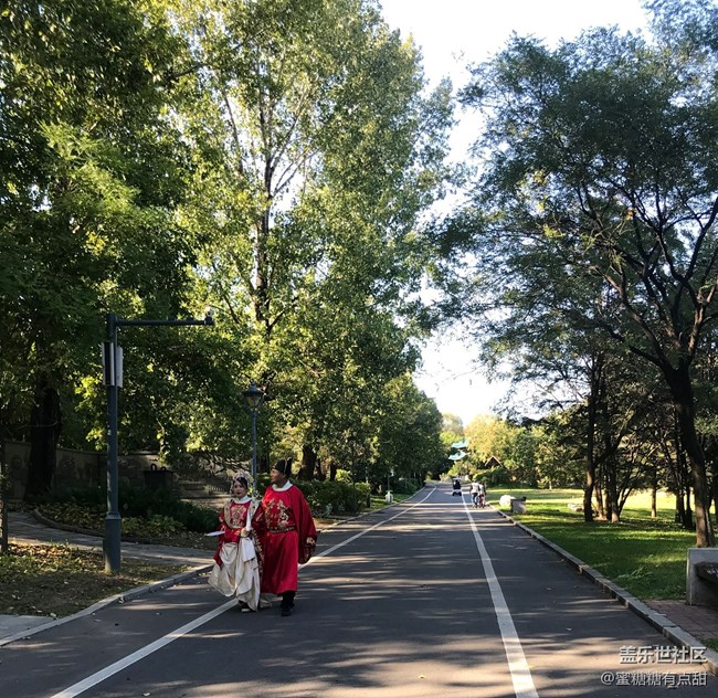 【沈陽星部落】世博園Z Fold4&Flip4品鑒游玩會