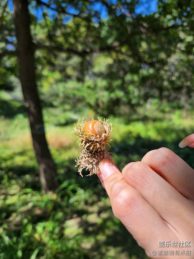 【沈陽星部落】世博園Z Fold4&Flip4品鑒游玩會