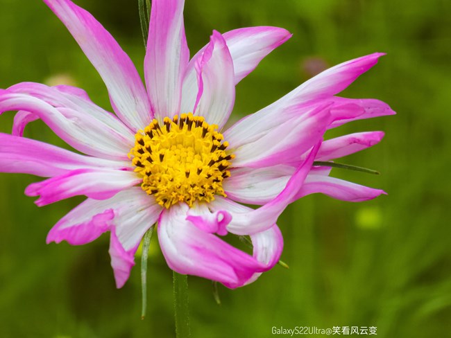 《每周星鮮事》 第119期: