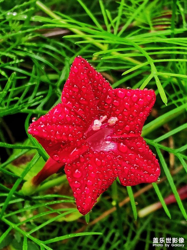 《每周星鮮事》 第119期: