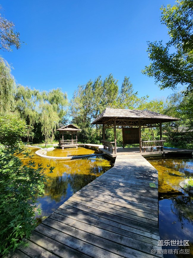 【沈陽星部落】世博園Z Fold4&Flip4品鑒游玩會