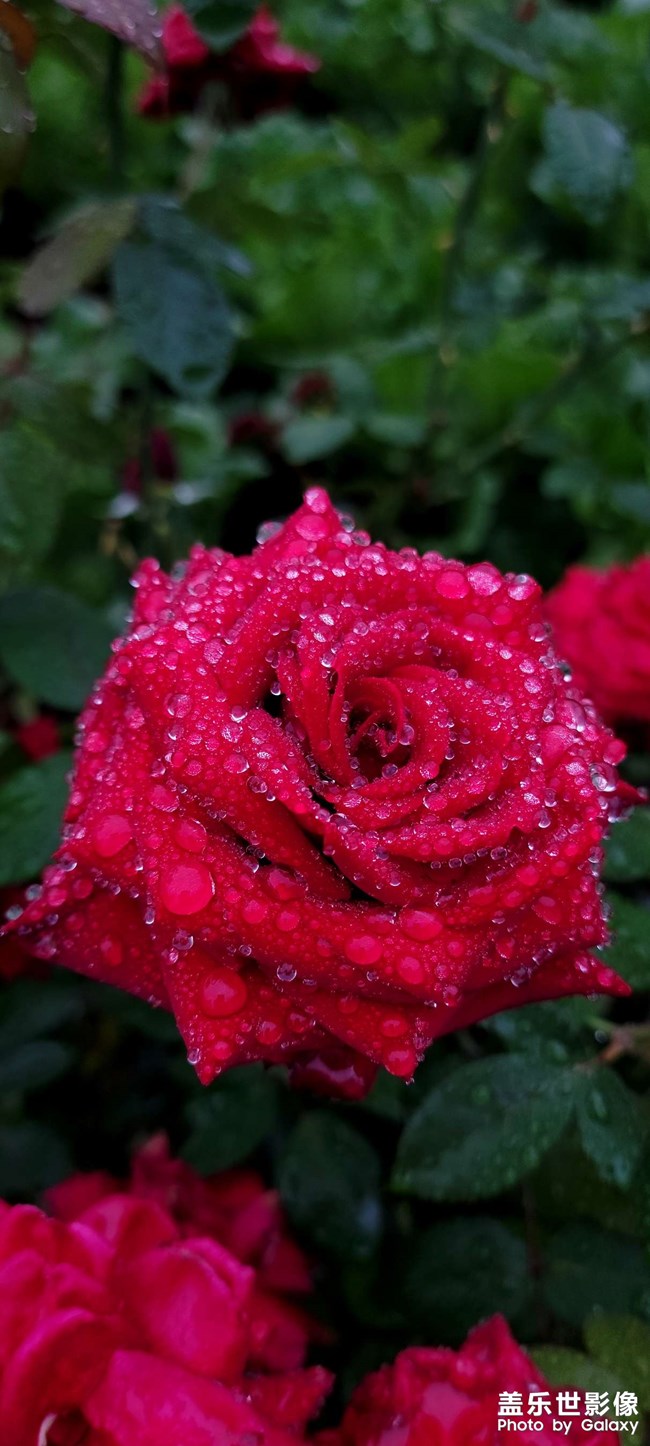 《每周星鮮事》 第119期: