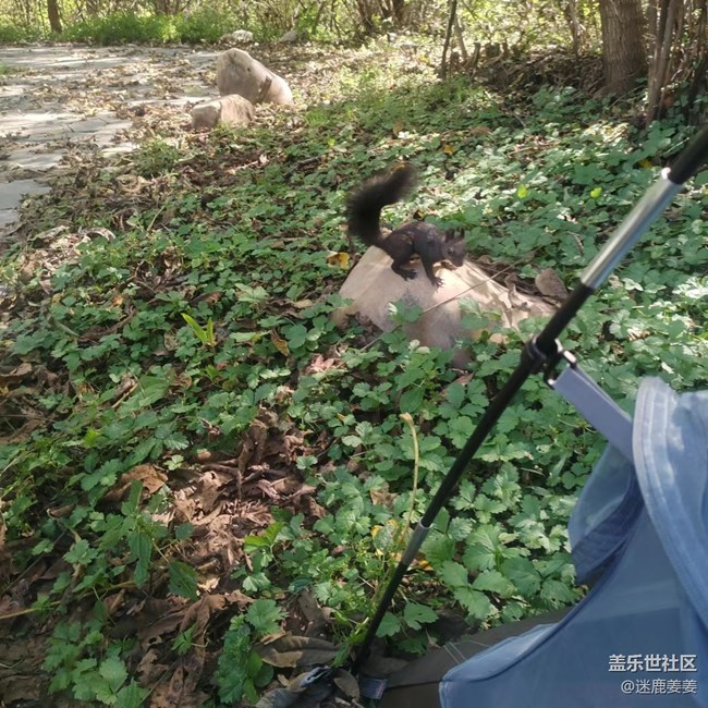 【回顧貼】秋高氣爽游世博，新機(jī)試用爽歪歪