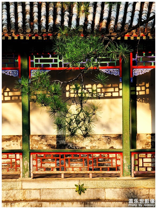 《每周星鮮事》 第119期: