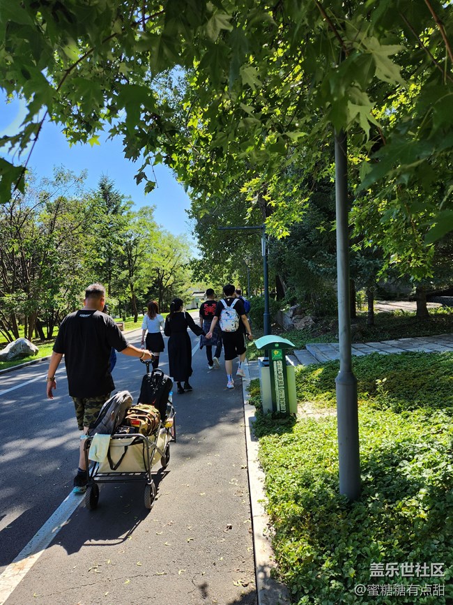 【沈陽星部落】世博園Z Fold4&Flip4品鑒游玩會