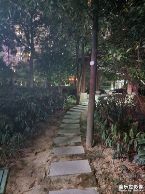 萬家燈火