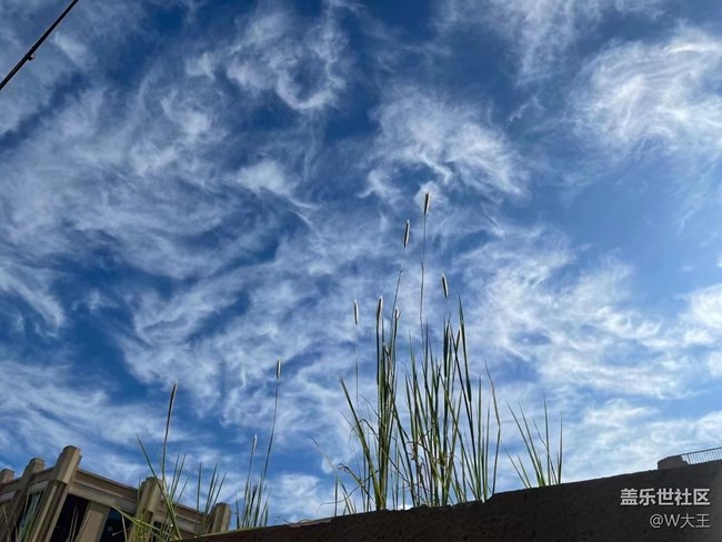 #秋已至——云朵